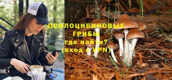 круглые Абаза