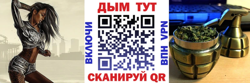наркошоп  Подпорожье  Конопля сатива 